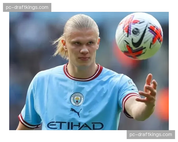 英超球员射门转化率榜：蒂亚戈30.1%居首，哈兰德23.5%第四